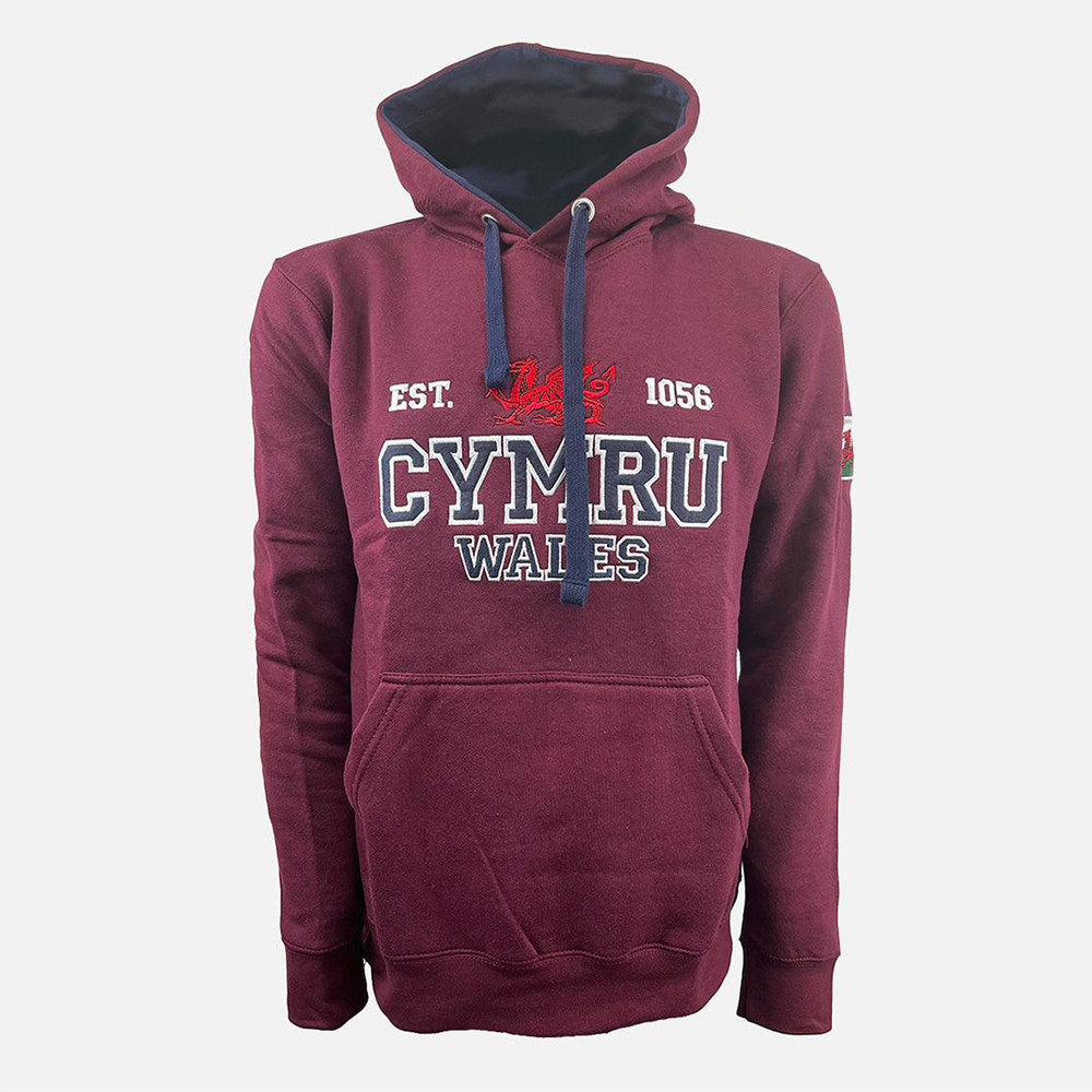 Kids Wales Cymru 1056 Hoodie