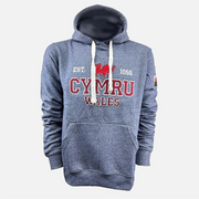 Kids Wales Cymru 1056 Hoodie