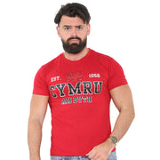 Men's Established 1056 Cymru Am Byth Welsh T-Shirt