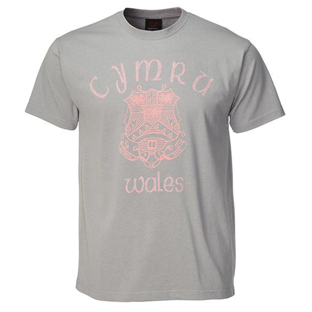 Cymru Surf Grey T-Shirt