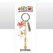 Wonderful Wales Charm Keyring