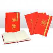 Wales Foil Stamped Notebooks Set of 3