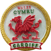 Gold Rim Cardiff Resin Magnet (RSN26)