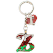 Wales Alphabet Keyring / Z (KRA026)