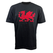 Men's Welsh Dragon Applique T-Shirt