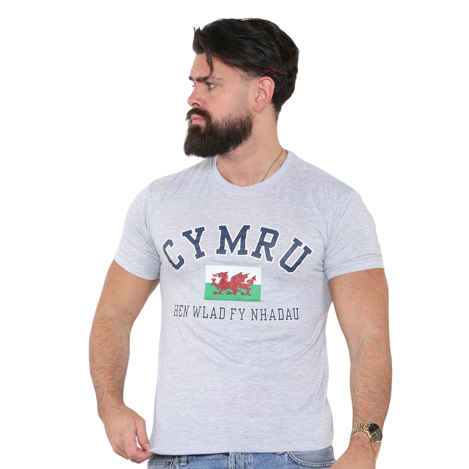 Cymru Hen Wlad T-Shirt