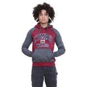 Kids Cymru Grey Sleeved Burgundy Hoodie