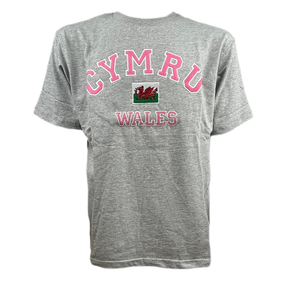 Men's Cymru Welsh Applique T-Shirt