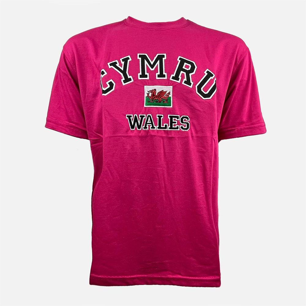 Ladies Applique Cymru T-Shirt