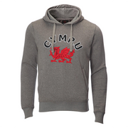 Grey Applique Hoodie