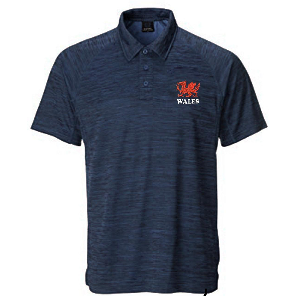 Lewis Antique Navy Polo Shirt