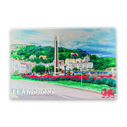 Llandudno Garden Magnet (MGF019)