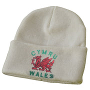 Kids Cymru Wales Ski Hat