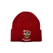 Kids Welsh Ski Hat