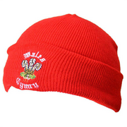 Adults Welsh Ski Hat