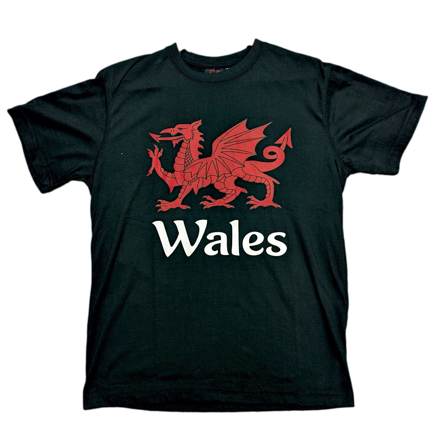 Cymru/Wales Printed T-Shirt