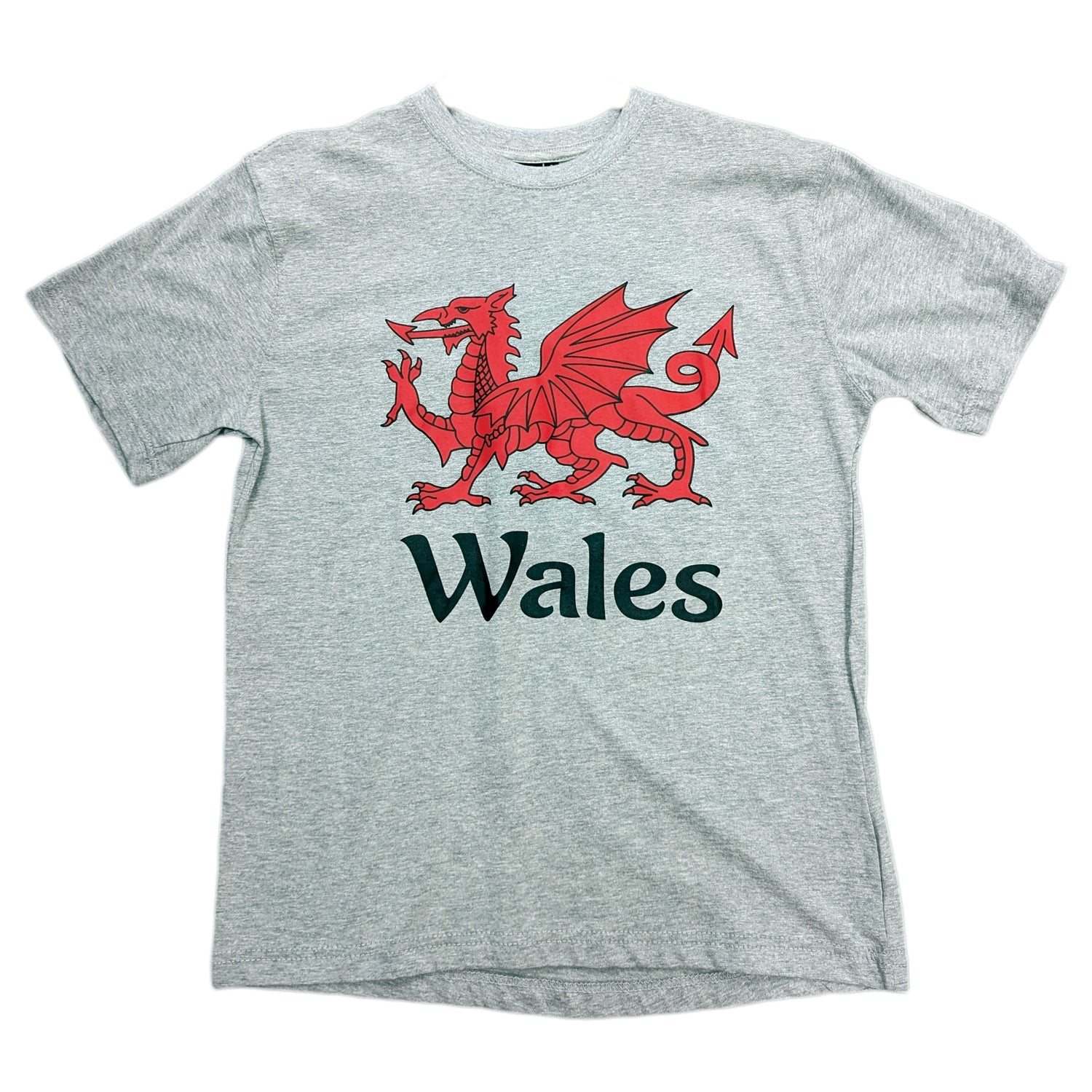 Cymru/Wales Printed T-Shirt