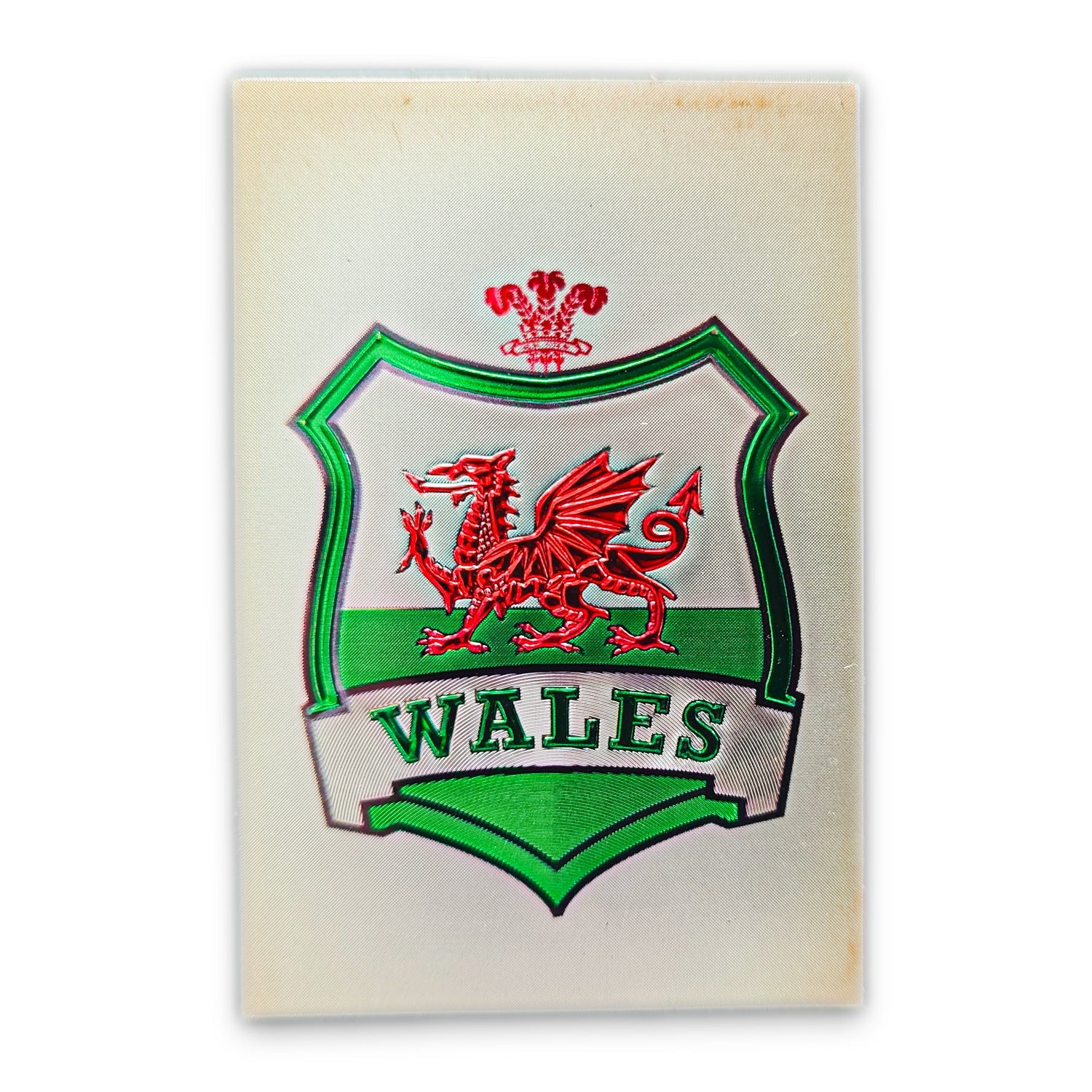 Wales Shield Magnet (MGF011)