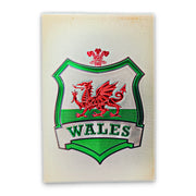 Wales Shield Magnet (MGF011)